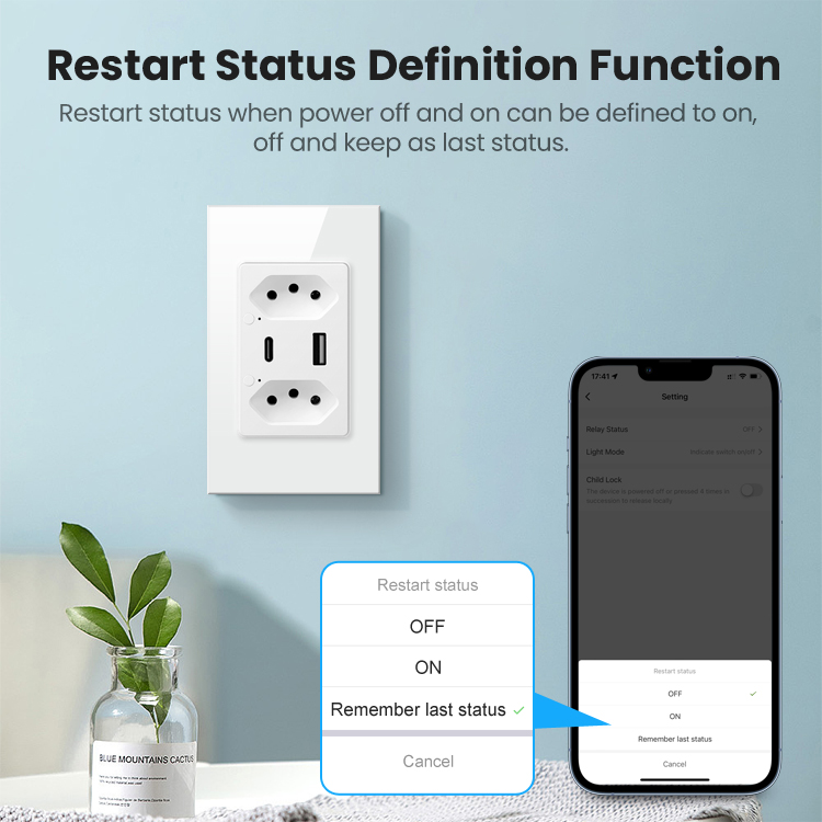 Brazil 110-240V 3680W Smart Power Socket Plug Wifi Tuya Smart Wall Socket Type C work with APP Alxa Google Home Voice Control